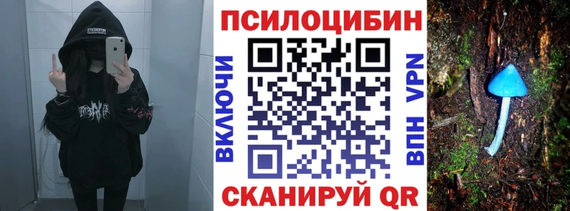 где купить наркоту  omg ссылка  Псилоцибиновые грибы ЛСД  Борисоглебск 